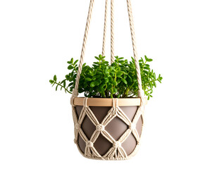 Hanging macramé planter with green plant, isolated PNG