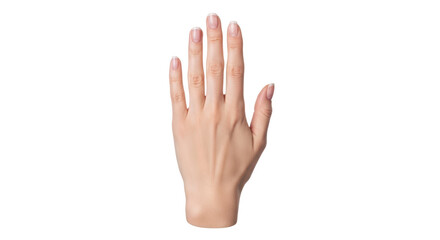 Fototapeta premium Isolated Hand of a Woman, Palm Up
