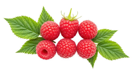 Isolated Raspberries