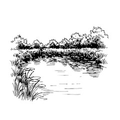 Fototapeta premium Vintage sketch of a tranquil pond surrounded by trees and tall grass 