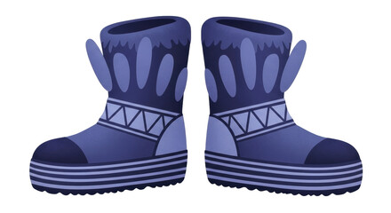 Isolated Winter Boots
