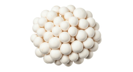 Isolated White Beech Mushrooms