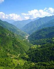 Lush mountain valley landscape