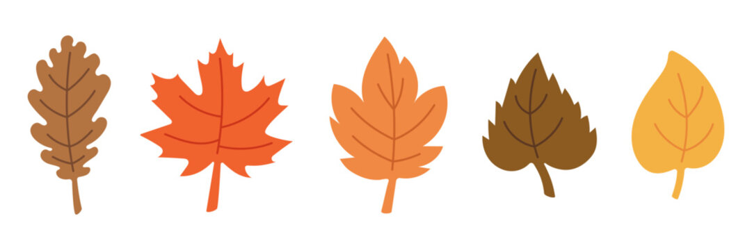 Set of Colorful Autumn Leaves Isolated. Flat Hand Drawn Vector Illustration of Oak, Maple, and Birch Leaves. Fall Season Foliage Elements for Design and Decoration.