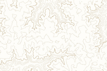 Topographic Line Pattern Background: Contour Map Texture