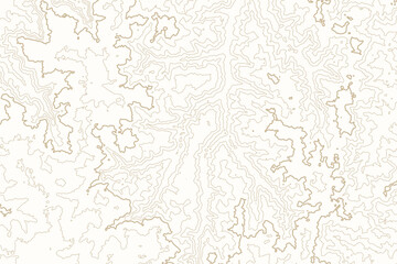 Topographic Line Pattern Background: Contour Map Texture