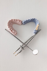 Heart-shaped dental molds with a bridge on one side, surrounded by precision instruments on white...