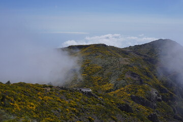 Stunning mountain landscape with lush greenery and fog near the summit captured during midday in a...