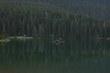 Paddler glides across calm lake surrounded by tall evergreen trees at twilight