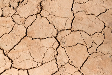 Close-up of cracked, dry earth showing the effects of drought and extreme heat in an arid environment.