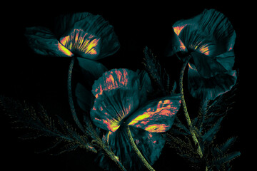 Dark Teal Flowers with Fiery Neon Accents. Abstract floral art featuring dark teal petals glowing with orange and yellow neon details against a black background