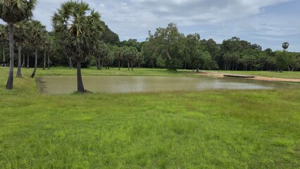 Angkor Wat, Cambodia - 3 January 2025. A shallow pond with grassy edges and palm trees stands beside a sandy area.