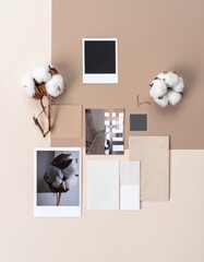 Neutral Toned Design Moodboard with Cotton Flowers Beige and Cream Color Palette