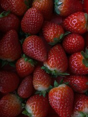 strawberries in a box