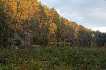 Sunset light on autumn forest hillside by lake in Østmarka, Norway