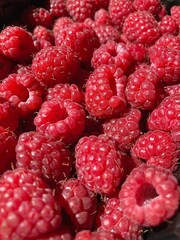 raspberry close up