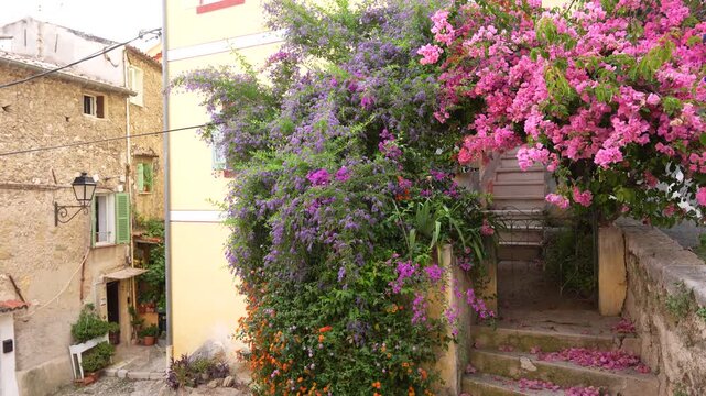 Menton France Charming City Beautiful Flowers Pink Purple in Stairway Pastel Color City Street. European French Riviera Cote d'Azur Alleyway