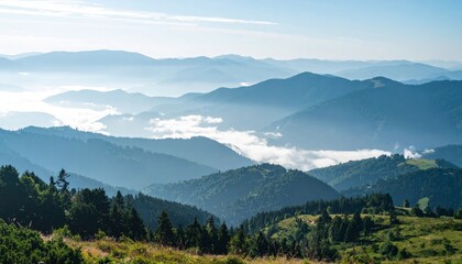 Fototapeta premium Extensive Carpathian Mountain Range Forest Landscape with Foggy Sky View
