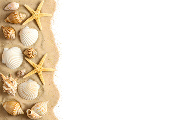 Seashells and Starfish on Sand: Summer Beach Vacation Background Isolated on Transparent Background