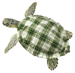 Fototapeta premium PNG Turtle collage cutout tortoise reptile animal.