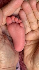 Cute feet of a newborn baby in the hands of an adult.