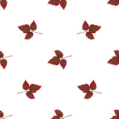 Seamless pattern of watercolor red autumn vine leaves on a transparent background. Perfect for seasonal designs, fabric prints, wrapping paper, invitations, scrapbooking, digital projects, backdrop 