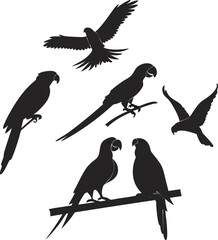 Set of Silhouette Parrot vector design, Parrot logo and icon design, Parrot illustration vector design