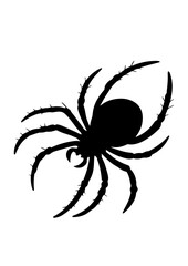 Silhouette of a Spider with Detailed Legs