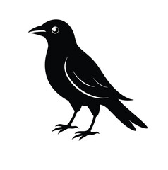 Black Crow Silhouette: A stylized silhouette of a black crow, captured in a graphic illustration that highlights the bird's distinctive shape and form.