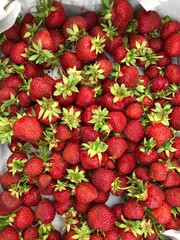 strawberries in a market
