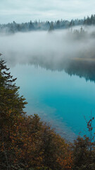 Mist hovering above still forest lake, soft aqua color palette and light cloud cover