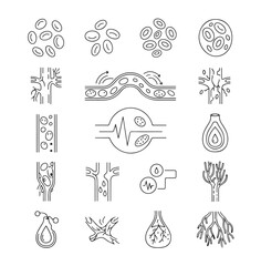 Cardiology and hematology line icon set. Vector symbols of blood circulation, red blood cells, and artery disease like atherosclerosis for medical illustration.

