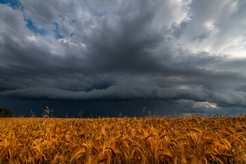 WEATHER Dramatic black rain clouds over fields and country road