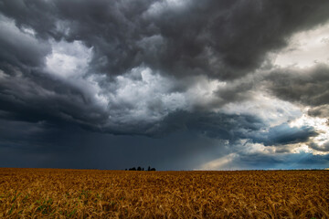 WEATHER Dramatic black rain clouds over fields and country road