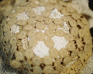 lace, vintage lace, crochet lace, beige lace, textile texture, close-up fabric, handcrafted lace, antique lace, embroidery pattern, lace details, delicate fabric, needlework, woven textile, decorative
