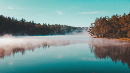 Mist hovering above still forest lake, soft aqua color palette and light cloud cover.