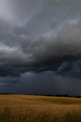 WEATHER Vertical Picture Dramatic black rain clouds over fields and country road