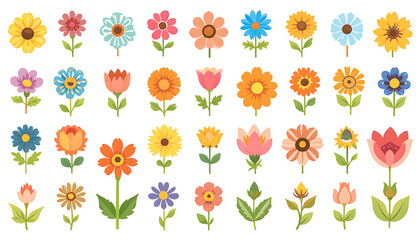Colorful Vector Flowers on White Background.