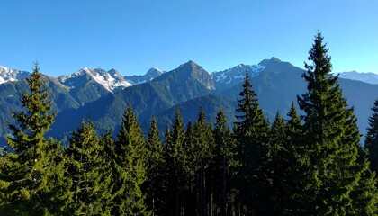 Obraz premium Mountain vista through pine trees