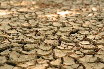 A closeup view of dry, cracked soil, showcasing the significant effects of drought on the...