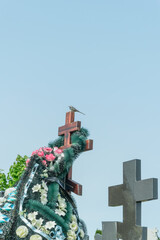 A tranquil wagtail perched on a memorial cross symbolizing hope and remembrance surrounded by vibrant flowers reflecting the beauty of life. Flowers on a grave.