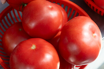 Vibrant red tomatoes symbolizing the essence of life and growth. Fresh tomatoes on display at a bustling market, inviting a taste of summer.