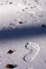 Single Barefoot Print in Fresh Winter Snow