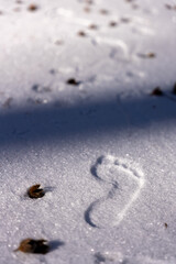 Solitary Barefoot Print in Snowy Winter Landscape