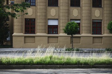 urban building, city architecture, red windows, yellow facade, small trees, sidewalk, street view, symmetrical design, roadside grass, public space, sunny day, exterior, summer, urban landscape