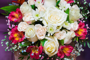 Delicate red alstroemeria and white roses flowers bordered with gypsophila arranged on purple background. Minimalist floral composition for summer, wedding or greeting designs.