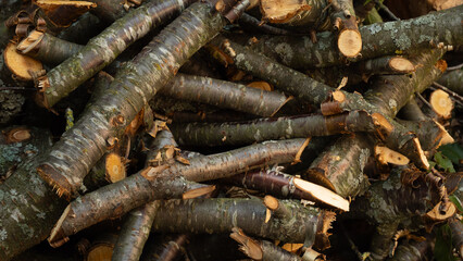 A pile of freshly chopped cherry firewood. A close-up of a pile of freshly cut branches shows the rough texture of the bark and the cross-sections that create an intricate natural background.