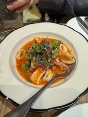 chicken and vegetable soup