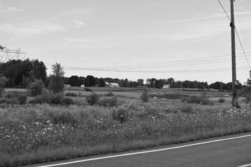 La Plaine 31 Juillet 2025 N&B
