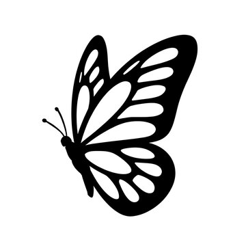 Fototapeta Simple black and white silhouette of a butterfly
